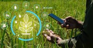 Organic Farming A Sustainable Approach to Agriculture