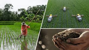 Organic Farming A Sustainable Approach to Agriculture